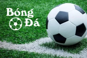 Quy Định Về Bóng Trong Cuộc Và Bóng Ngoài Cuộc Cần Nắm Rõ