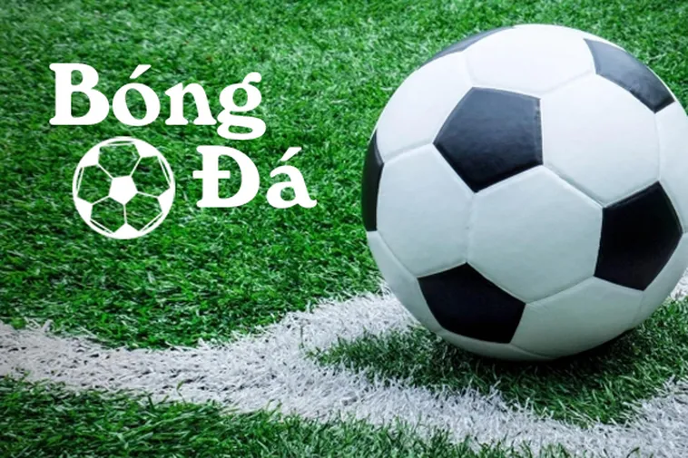 Quy Định Về Bóng Trong Cuộc Và Bóng Ngoài Cuộc Cần Nắm Rõ