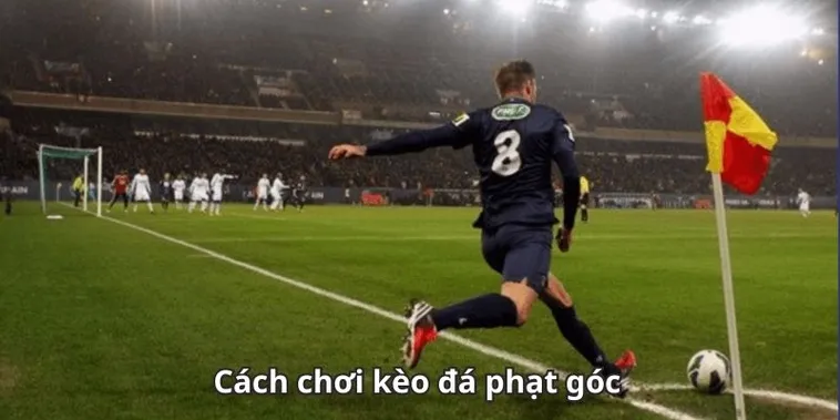 Chinh Phục Kèo Phạt Góc Bóng Đá Tại NowGoal Với Số Liệu Thống Kê Chuẩn