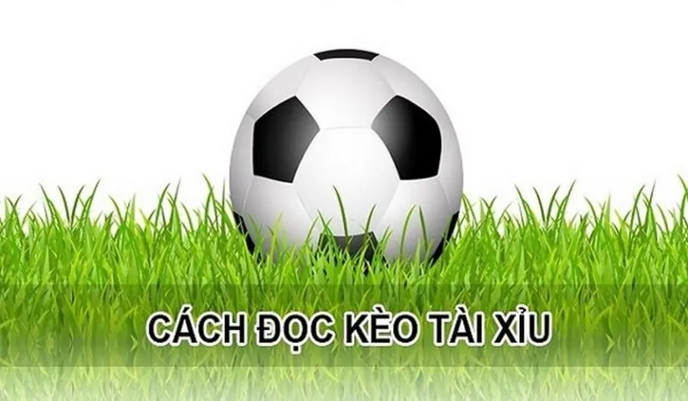 Cách Soi Kèo Tài Xỉu Hiệp 1 Tại NowGoal Để Thắng Lớn Mỗi Ngày