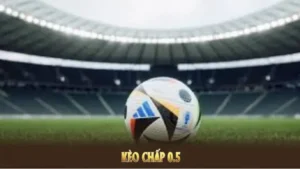 Hướng Dẫn Xem Kèo Chấp 0.5 Tại NowGoal Một Cách Chuyên Nghiệp Nhất