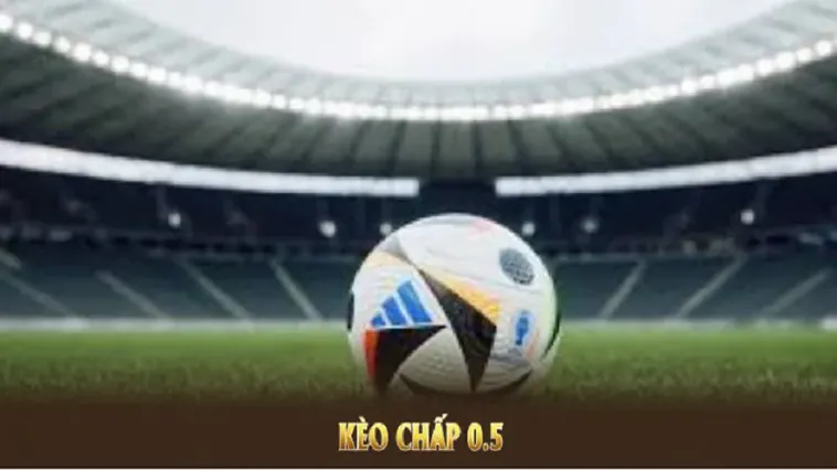 Hướng Dẫn Xem Kèo Chấp 0.5 Tại NowGoal Một Cách Chuyên Nghiệp Nhất