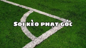 Chinh Phục Kèo Phạt Góc Bóng Đá Tại NowGoal Với Số Liệu Thống Kê Chuẩn