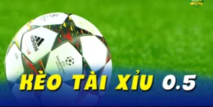 Hướng Dẫn Xem Kèo Tài Xỉu Tại NowGoal Để Đạt Hiệu Quả Cao