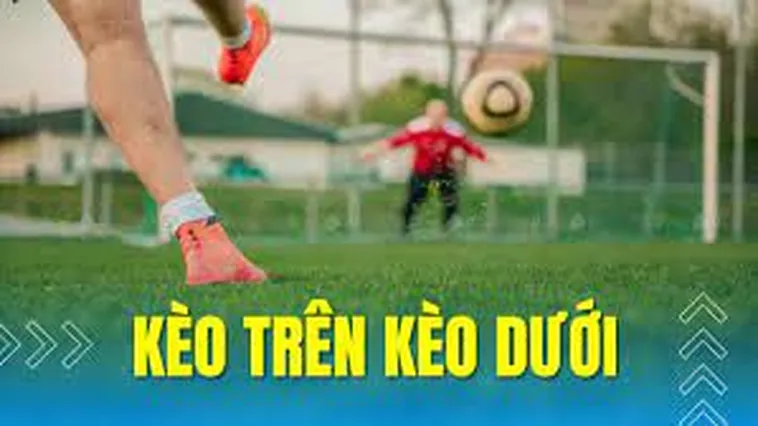 Cách Phân Biệt Kèo Trên Kèo Dưới Tại NowGoal Cho Người Mới Bắt Đầu