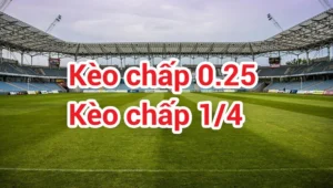 Giải Mã Kèo Chấp 0.25 Tại NowGoal Cho Người Theo Dõi Bóng Đá